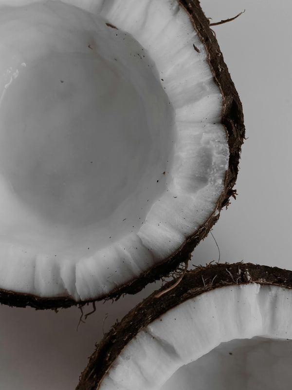 Lait de coco en poudre, ingrédient du Pink Latte, du Matcha Latte, du Hojicha Latte et du Ube Latte Superista.